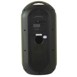 Power ACOUSTICS Gozik Led GR