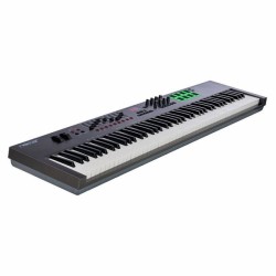 NEKTAR Impact LX88+