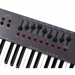 NEKTAR Impact LX88+