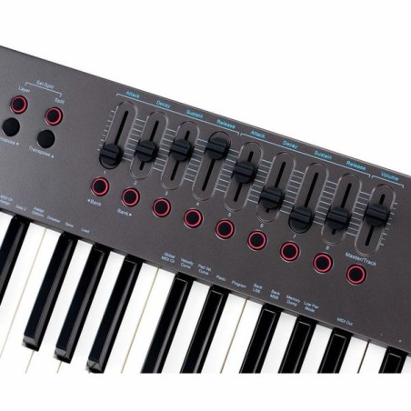 NEKTAR Impact LX88+