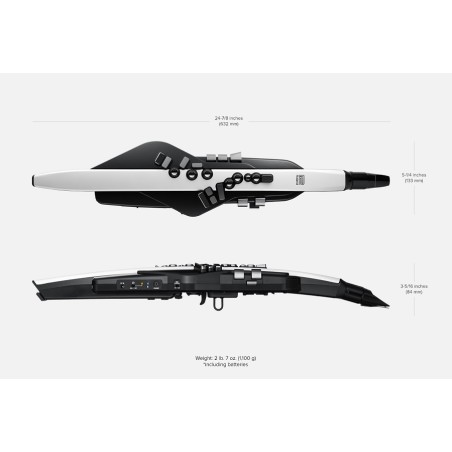 Roland Aerophone AE-20
