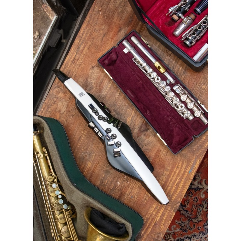 Roland Aerophone AE-20
