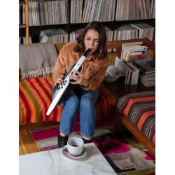 Roland Aerophone AE-20