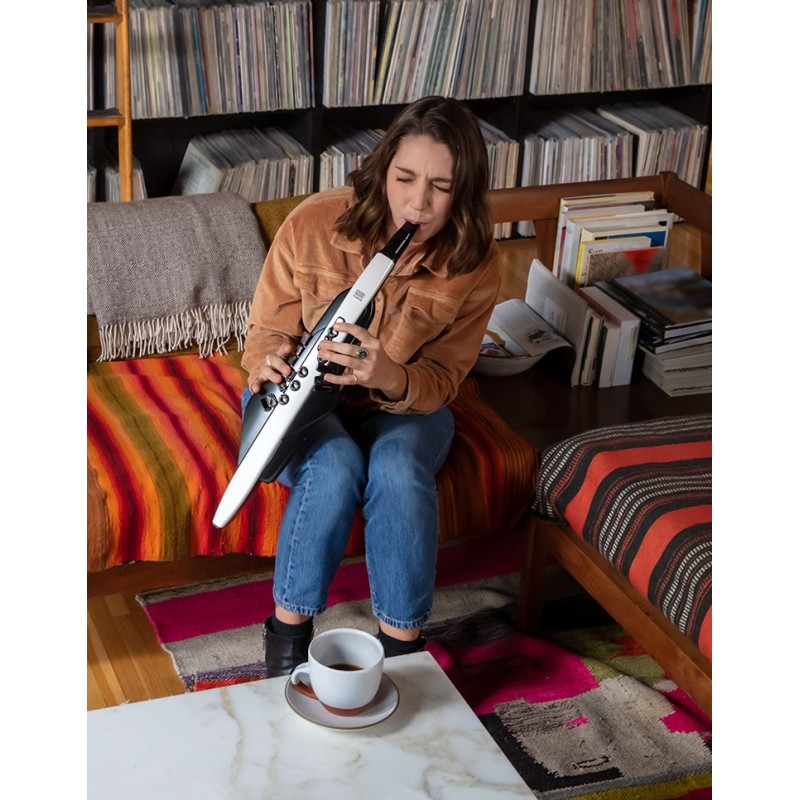 Roland Aerophone AE-20