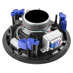 Power Dynamics NCSP5B