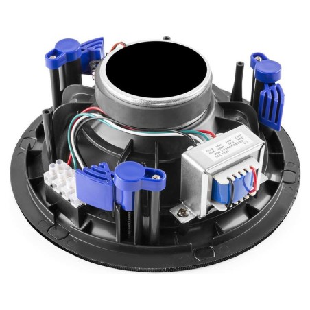 Power Dynamics NCSP5B