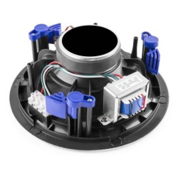 Power Dynamics NCSP6