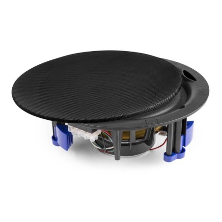 Power Dynamics NCSP6B