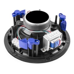 Power Dynamics NCSP8B