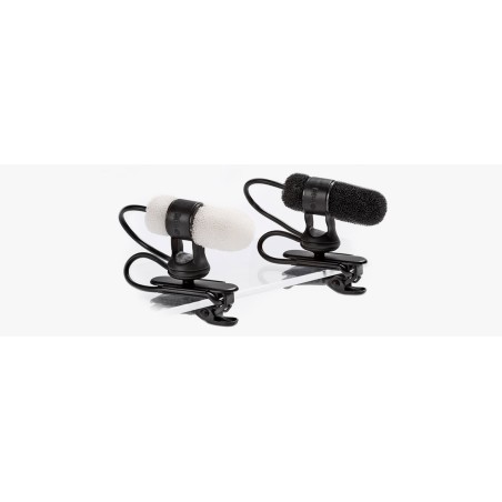DPA 4080-DC-D-B00