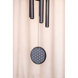 Sonic Energy FOLMC36BK