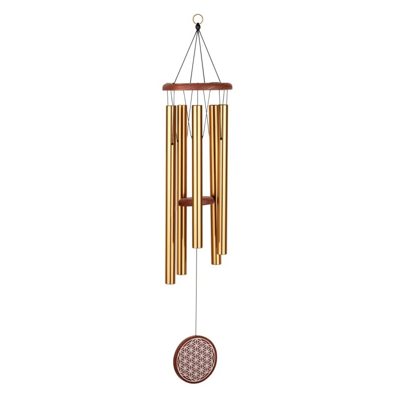Sonic Energy FOLMC36B