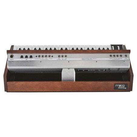 Moog Minimoog Model D 2022