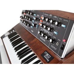 Moog Minimoog Model D 2022