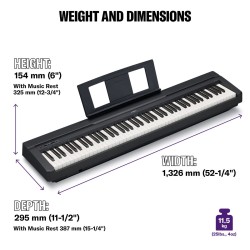 YAMAHA P-45