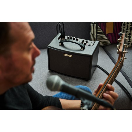 BOSS AC-22LX