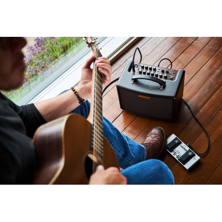 BOSS AC-22LX