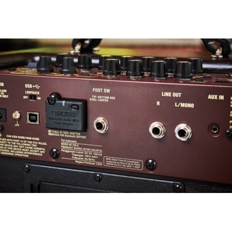 BOSS AC-22LX