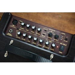 BOSS AC-22LX