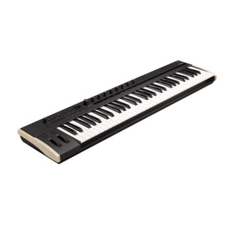 KORG Keystage-61