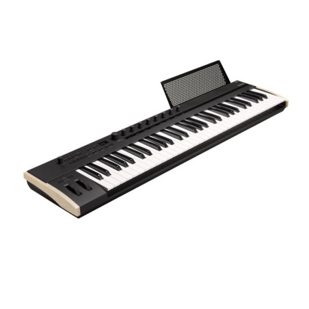 KORG Keystage-61