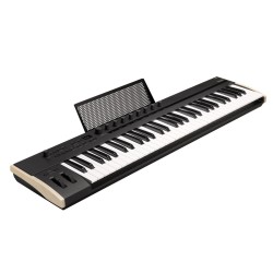 KORG Keystage-61