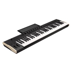 KORG Keystage-61