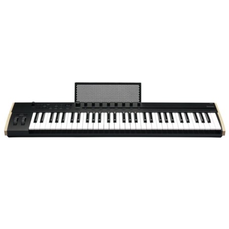 KORG Keystage-61