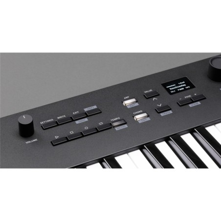 KORG Keystage-61
