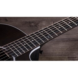 Taylor 214ce DLX LTD Trans Grey
