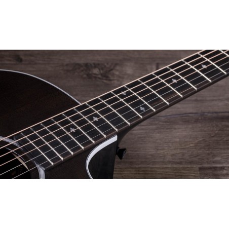 Taylor 214ce DLX LTD Trans Grey