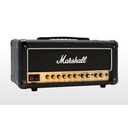 Marshall DSL20HR
