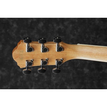 Ibanez AEG7MH OPN