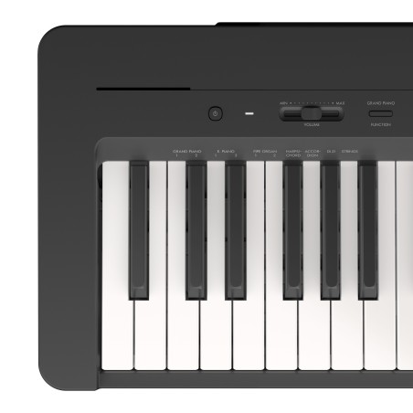YAMAHA P145 Black