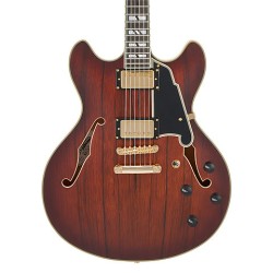 D'angelico Deluxe DC Satin Brown Burst