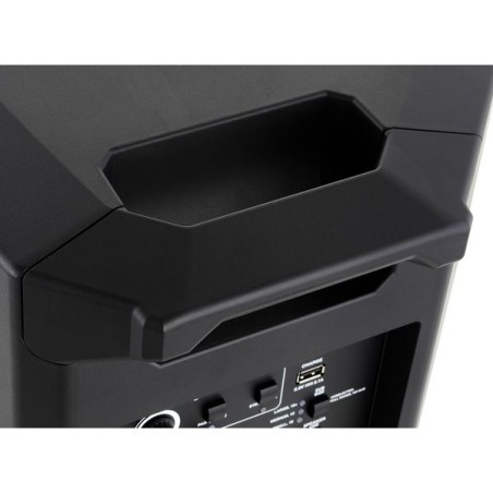 ALTO Professional TS412