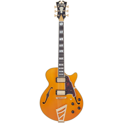 D'Angelico Excel SS Vintage Natural