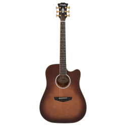 D'Angelico Excel Bowery Autumn Burst