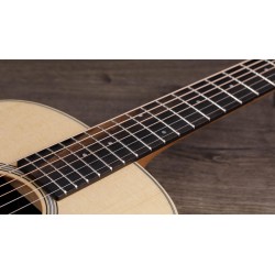 Taylor GS Mini-e Rosewood Plus
