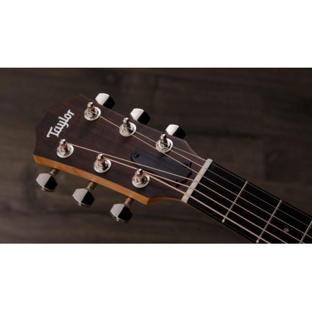 Taylor GS Mini-e Rosewood Plus