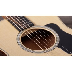 Taylor GS Mini-e Rosewood Plus