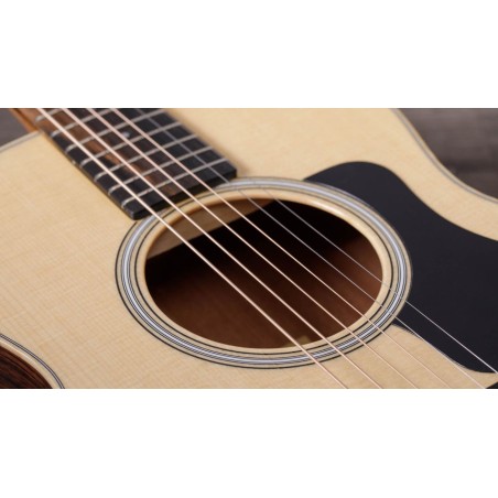 Taylor GS Mini-e Rosewood Plus