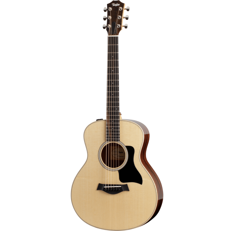 Taylor GS Mini-e Rosewood Plus
