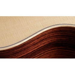 Taylor GS Mini-e Rosewood Plus