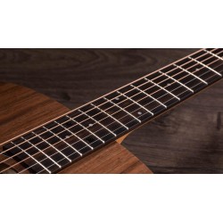 Taylor Big Baby Taylor BBTe Walnut