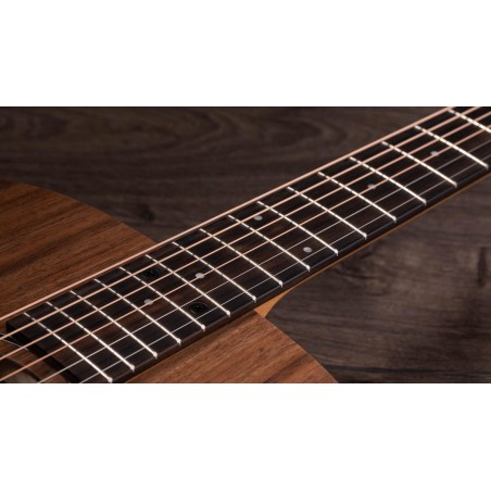 Taylor Big Baby Taylor BBTe Walnut