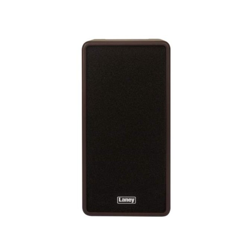 Laney A-Duo