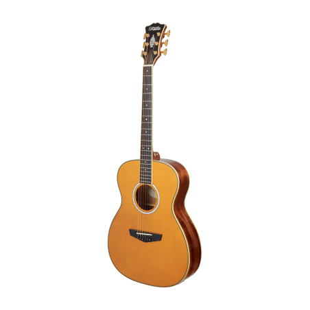 D'Angelico Excel Tammany Vintage Natural