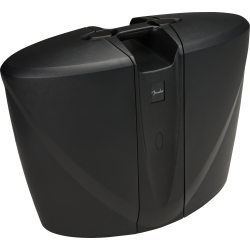 Fender Passport Venue Series 2 Black