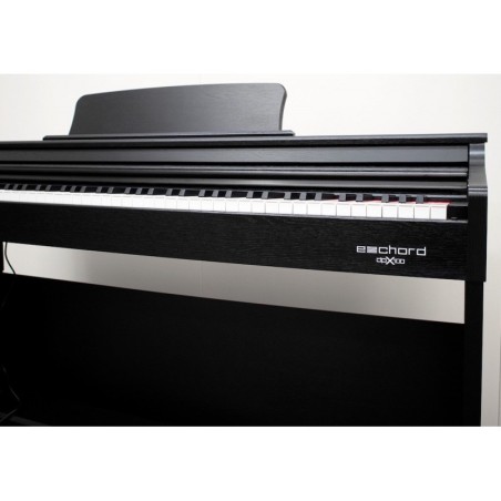 E-Chord DPX100 Black Polish